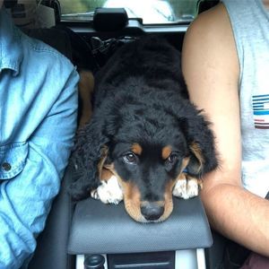 Meet your Posher, Jenna